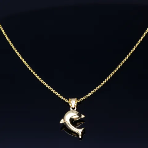 Delfin - Anhänger- mit glänzender Ankerkette (50cm) - Schmuckset in 14K / 585 Gold