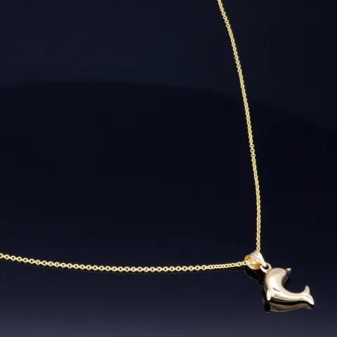 Delfin - Anhänger- mit glänzender Ankerkette (50cm) - Schmuckset in 14K / 585 Gold