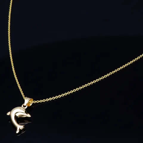 Delfin - Anhänger- mit glänzender Ankerkette (50cm) - Schmuckset in 14K / 585 Gold