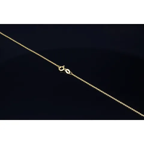 Delfin - Anhänger- mit glänzender Ankerkette (50cm) - Schmuckset in 14K / 585 Gold