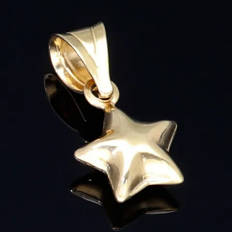 Stern - Anhänger in glänzendem 585 / 14 Karat Gelbgold