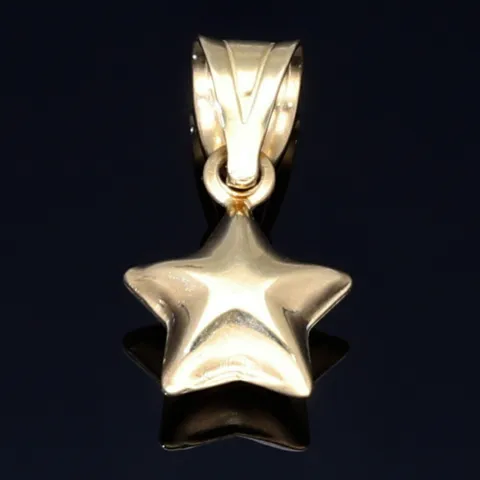 Stern - Anhänger in glänzendem 585 / 14 Karat Gelbgold