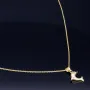 Delfin - Anhänger- mit glänzender Ankerkette (50cm) - Schmuckset in 14K / 585 Gold