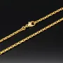 Exquisite Ankerkette aus funkelndem Gold (8K, 333 ca. 13,6g Gelbgold) ca. 50cm, 2,5mm mit FBM-Stempel