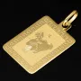 Sternzeichen Wassermann - Anhänger mit fein gravierten Greco-Design aus hochwertigem Gold (14K / 585 Gelbgold)