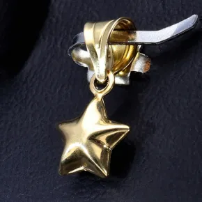 Stern - Anhänger in glänzendem 585 / 14 Karat Gelbgold