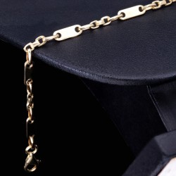 Mix aus Steigbügel- und Plattenarmband aus 585er (14k) Gelbgold, 20cm lang, 4mm breit (Plättchen-, Steigbügelarmband)