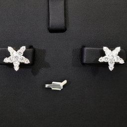 Glänzende Stern-Ohrstecker aus hochwertigem 925er Sterlingsilber mit funkelnden Zirkonia in Krappen gefasst