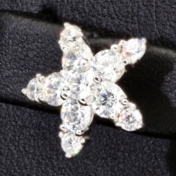 Glänzende Stern-Ohrstecker aus hochwertigem 925er Sterlingsilber mit funkelnden Zirkonia in Krappen gefasst