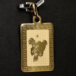 Sternzeichen Wassermann - Anhänger mit fein gravierten Greco-Design aus hochwertigem Gold (14K / 585 Gelbgold)