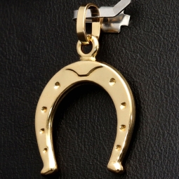 Stilvoller Hufeisen-Anhänger aus hochwertigem Gold (585er 14K Gelbgold)