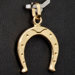 Stilvoller Hufeisen-Anhänger aus hochwertigem Gold (585er 14K Gelbgold)